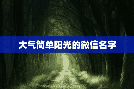 大气简单阳光的微信名字